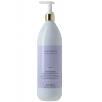FARMAVITA AMETHYSTE BLONDE - Cool Blonde Silver Shampoo Нейтрализующий фиолетовый шампунь для седых и осветленных волос 1L
