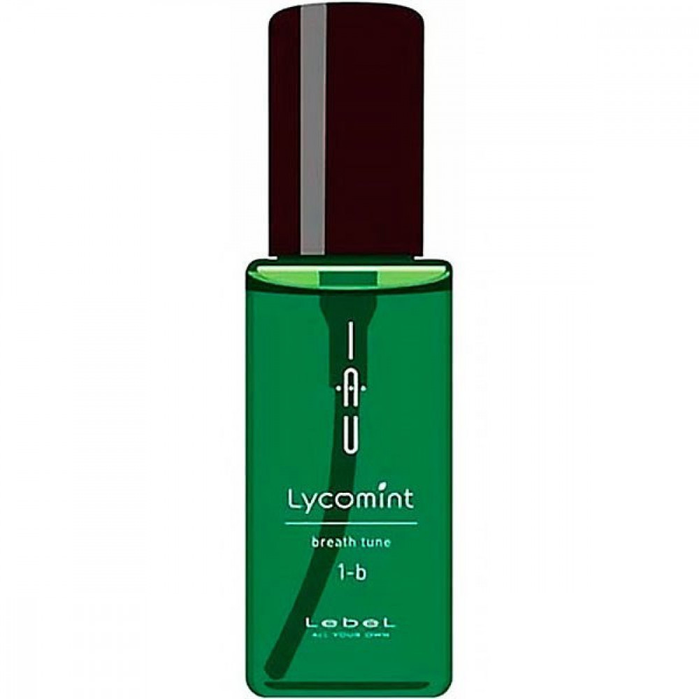 LEBEL Lycomint 1-b Очищувальна олія для жирної шкіри голови 100 мл