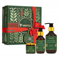 Vesna Рождественский набор "Новая Радость"