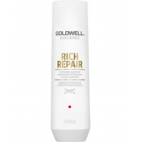 Goldwell Шампунь DSN Rich Repair для сухого та пошкодженого волосся, 250 мл