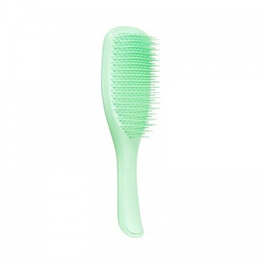 Гребінець Tangle Teezer The Wet Detangler Mint Karma