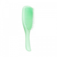 Гребінець Tangle Teezer The Wet Detangler Mint Karma