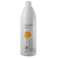 Шампунь абрикосовий для сухого волосся Farmavita Back Bar Apricot Shampoo 1000мл