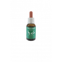 Эфирное масло Бергамот Kleraderm