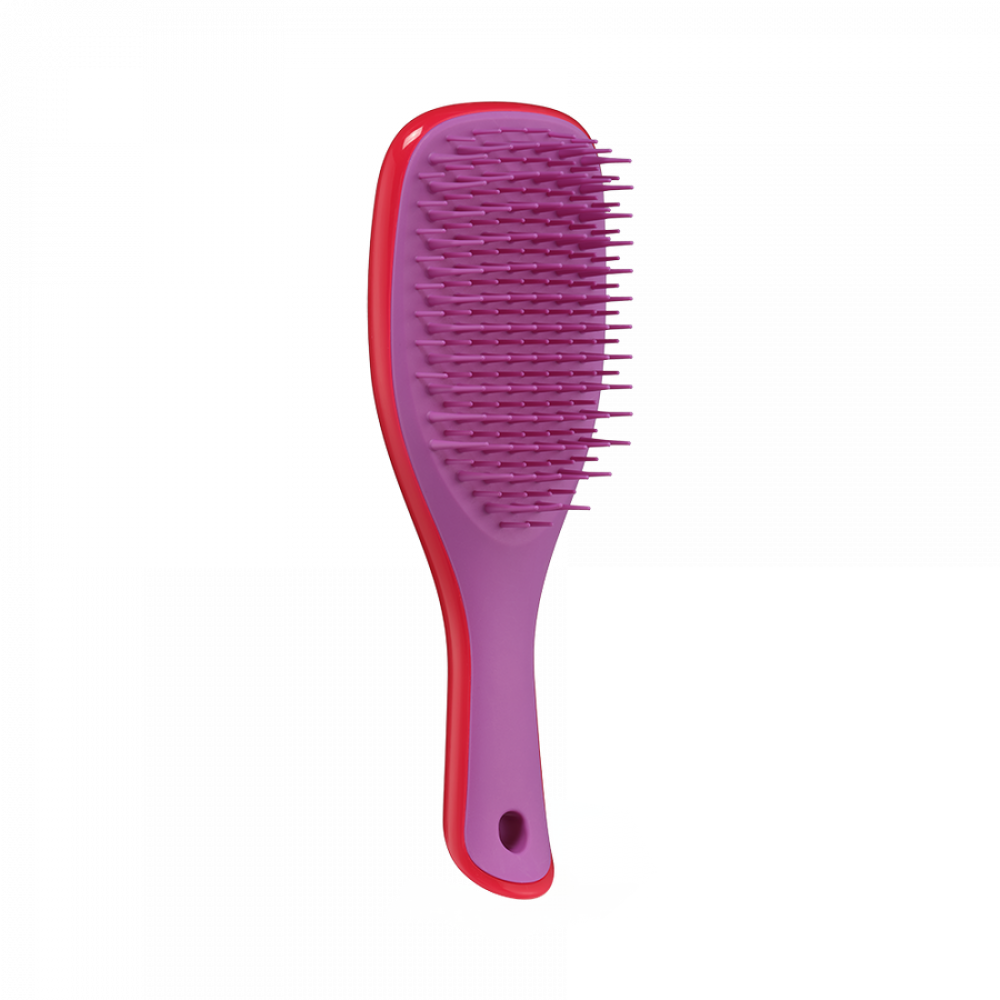 Расческа Tangle Teezer The Ultimate Detangler Mini Morello Cherry & Violet