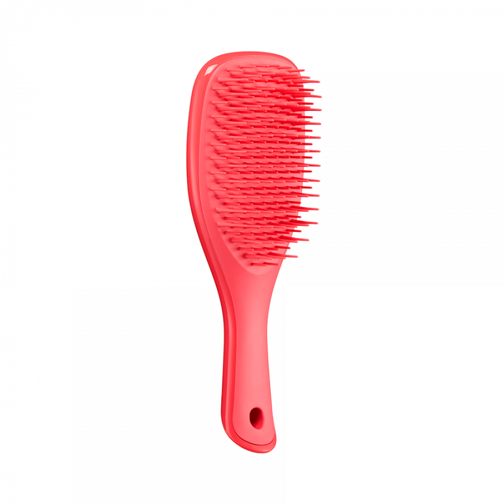 Щітка для волосся Tangle Teezer The Ultimate Detangler Mini Pink Punch