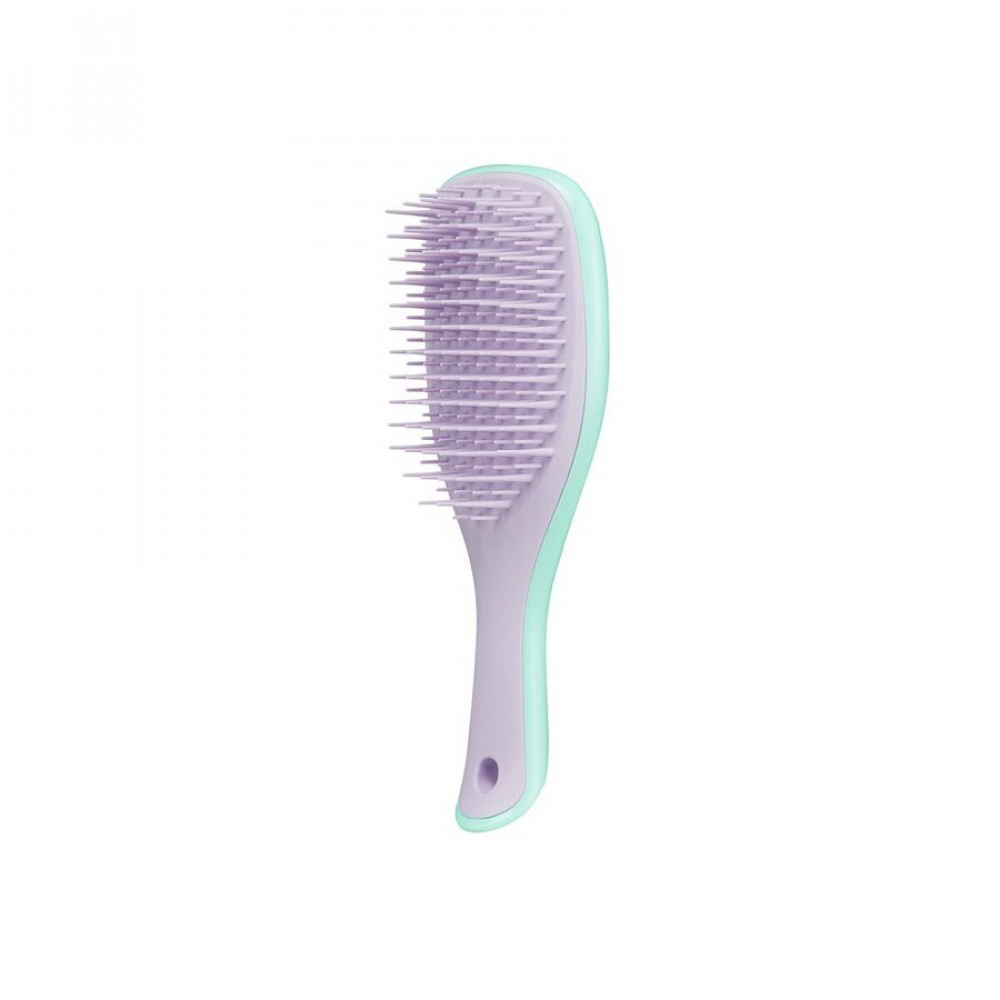 Гребінець Tangle Teezer The Wet Detangler Mini Wisteria Leaf