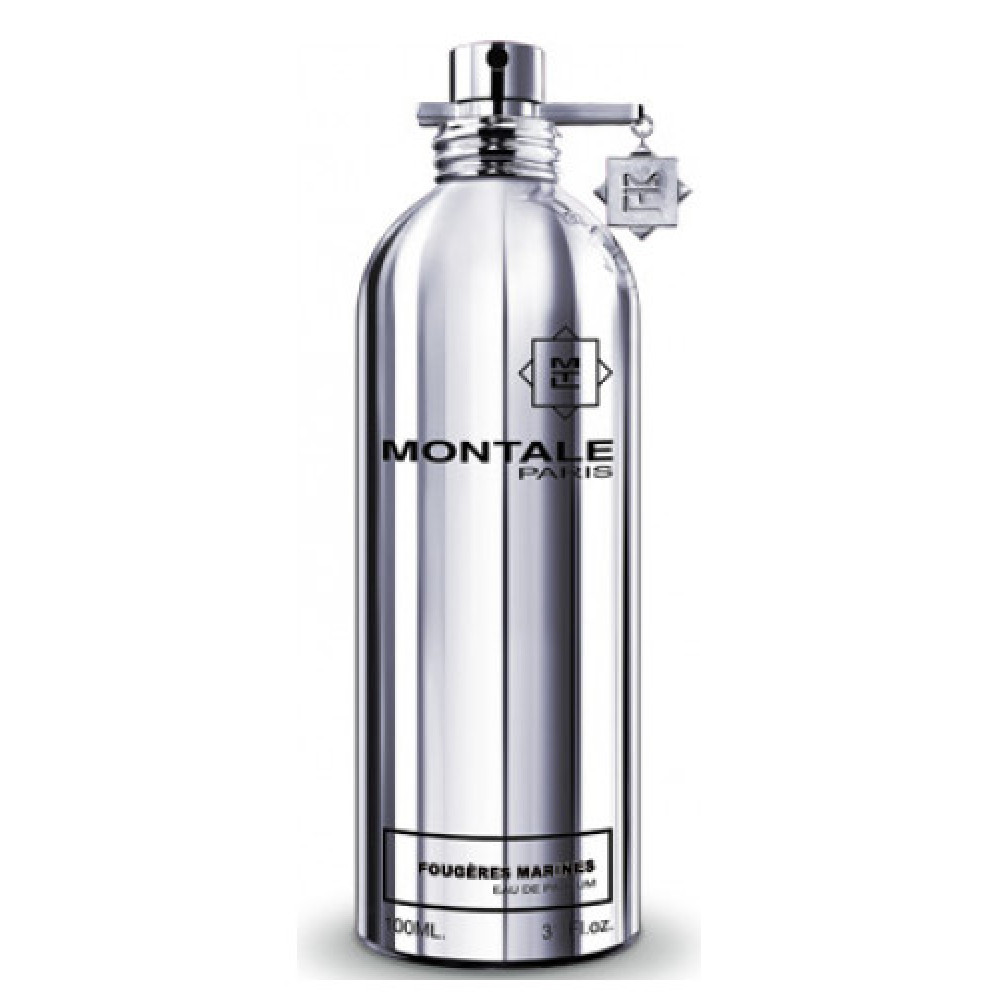 Парфумована вода Montale Fougeres Marines для чоловіків та жінок - edp 100 ml tester