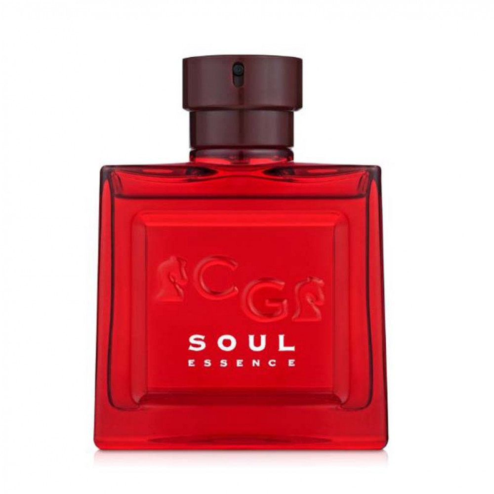 Туалетна вода Christian Gautier Soul Essence для чоловіків - edt 100 ml tester