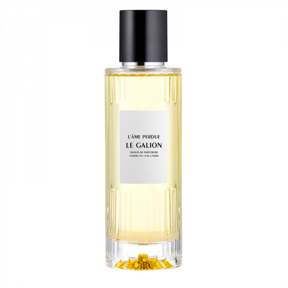 Парфумована вода Le Galion L'ame Perdue для чоловіків та жінок - edp 100 ml tester