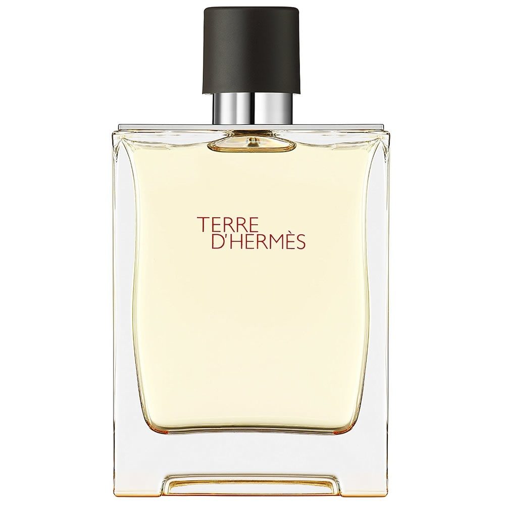 Туалетная вода Hermes Terre d'Hermes Eau De Toilette для мужчин (оригинал)