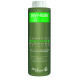 Helen Seward Органічний Шампунь проти лупи SYNEBI Purifying Shampoo, 300 ml НФ-00016075